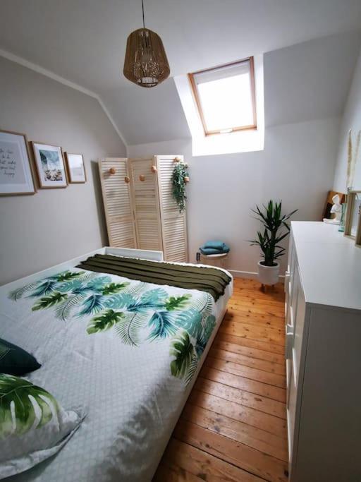 Guest House 60M2 Tout Confort Erquy Bagian luar foto